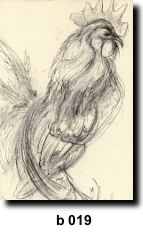 Bird 19
