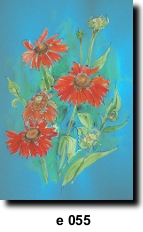 Flower 55