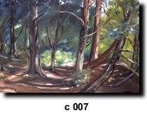 Place 7